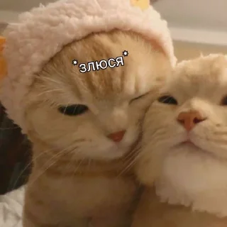 Sticker from Favorite stickers