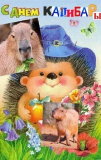 🦫 emoji Лия и Матвей канон Telegram sticker 9 of 58