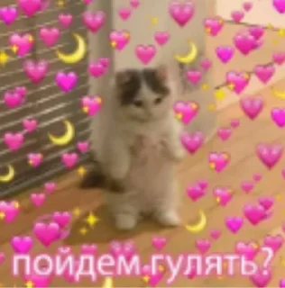 Love💗 sticker 4