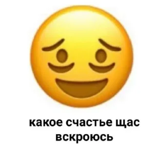 🙂 emoji ТУДАААА @all_ahhh Telegram sticker 19 of 113