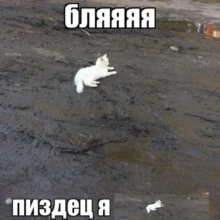 🌟 emoji От @hate_me080 няя Telegram sticker 21 of 56