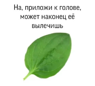 Sticker from брр-та-та