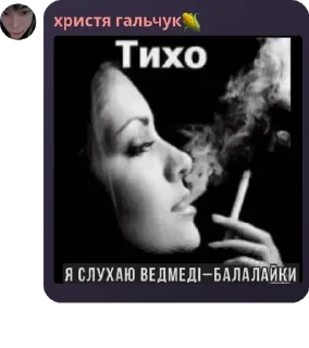🤫 emoji кавунячки pack by @QuotLyBot Telegram sticker 13 of 120