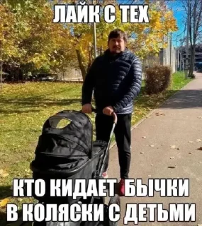 Sticker from Папка ивана шабалова @MefBed