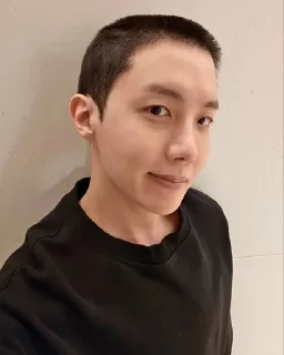 Sticker from bald jung hoseok👨‍🦲💜