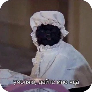 🐶 emoji Жизненная жиза Telegram sticker 12 of 97