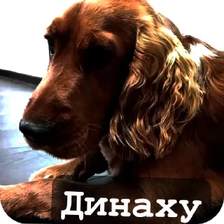 Sticker from Май бебі