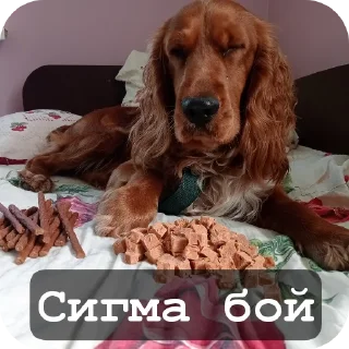 Sticker from Май бебі