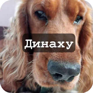 Sticker from Май бебі