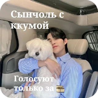🐶 emoji 🎞️ плёнка лохи Telegram sticker 6 of 12