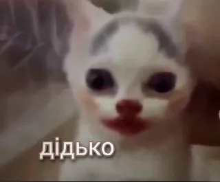 Sticker from Українські меми 2.0