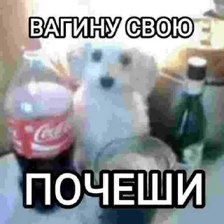 😱 emoji ну типа ➡️ @Ctikerubot Telegram sticker 19 of 64