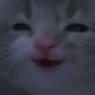 😁 emoji mem Telegram sticker 18 of 103