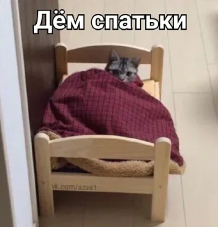 Sticker from Мои любимые котеки
