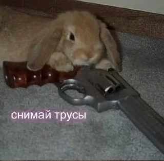 🔫 emoji Hot animals Telegram sticker 20 of 24