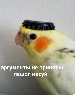 ☺️ emoji Ни мозгов, ни денег ➡️ @Ctikerubot Telegram sticker 9 of 43