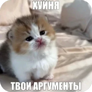🫥 emoji кот Telegram sticker 9 of 53