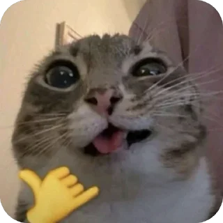 🫥 emoji кот Telegram sticker 21 of 53