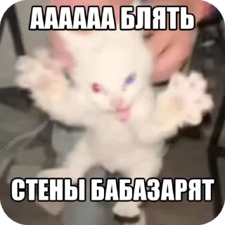 🫥 emoji кот Telegram sticker 23 of 53