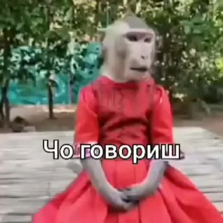 😍 emoji Стикеры @stickrubot @textmeru_bot Telegram sticker 2 of 38