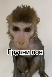 😒 emoji Стикеры @stickrubot @textmeru_bot Telegram sticker 23 of 38