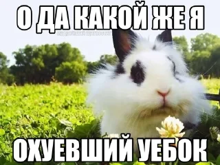 Sticker from лол