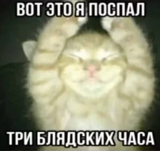 Sticker from лол