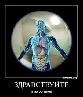 Sticker from Секси муха