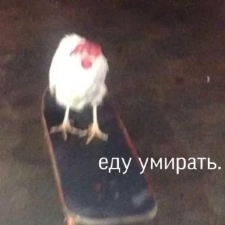Sticker from Анальная фея