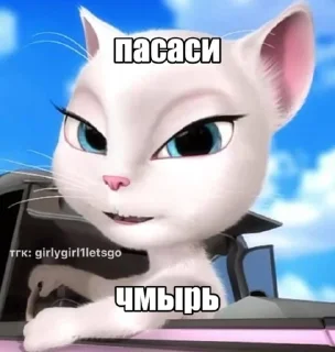 Sticker from ариша пепса🤗