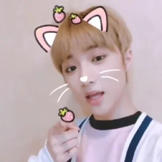 Sticker from txt🍡 @meoqii