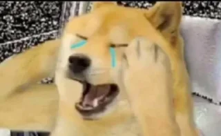Sticker from doge doge gooo