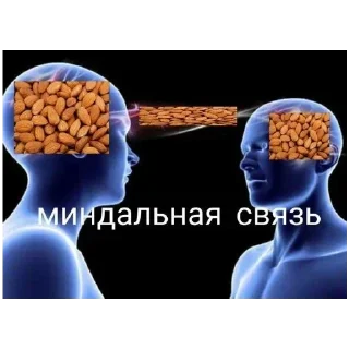 🍔 emoji МУХОСТОРИКУС @Shrifty_textbot Telegram sticker 5 of 61