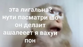 😱 emoji МУХОСТОРИКУС @Shrifty_textbot Telegram sticker 18 of 61