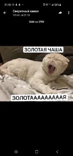 🌟 emoji Skibidi Telegram sticker 1 of 1