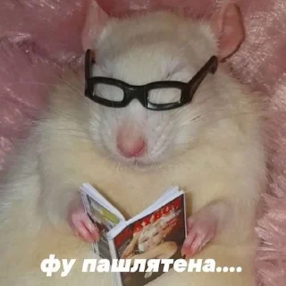 Sticker from Не пизди мои стики