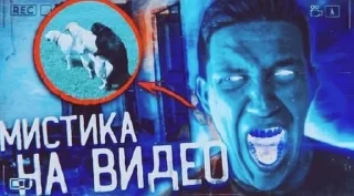 ОНО БЫЛО РЯДОМ @Packek sticker 1