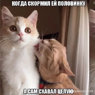 🌟 emoji наркотики зло Telegram sticker 14 of 56