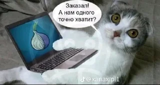 🌟 emoji наркотики зло Telegram sticker 22 of 56