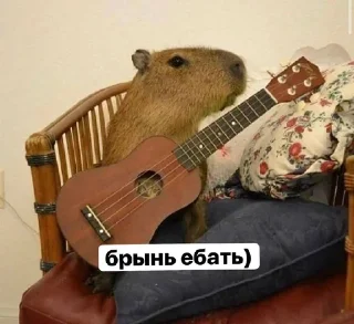 Sticker from хуйлуши бьют баклуши