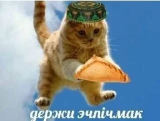 Sticker from kosta pidar
