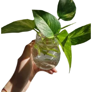 Sticker from °∿🍵Уютный домик 🌱･ﾟ