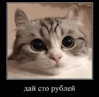 Sticker from Шизорайон @KomaruExtrim
