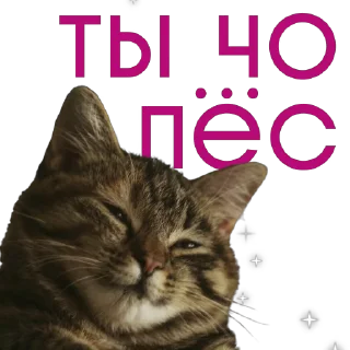 🖕 emoji Больше стикеров –> @strikeers 💋 Telegram sticker 22 of 46