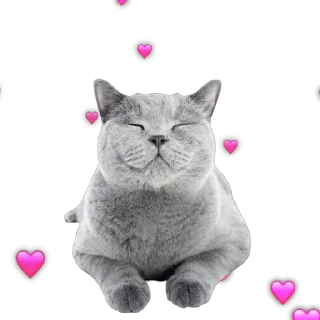 ❤️ emoji Больше стикеров –> @strikeers 💋 Telegram sticker 21 of 46