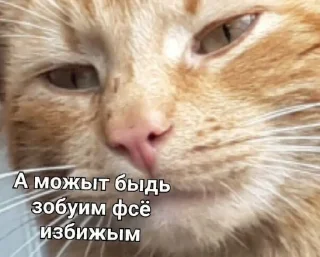 Sticker from ВСЕ СТИКИ ТУТ: @sekstick