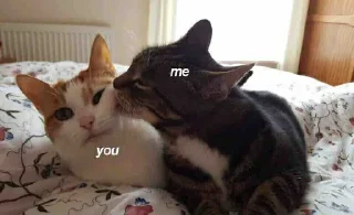 😻 emoji ВСЕ СТИКИ ТУТ: @sekstick Telegram sticker 17 of 72