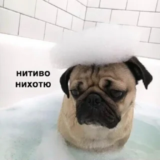😔 emoji ВСЕ СТИКИ ТУТ: @sekstick Telegram sticker 22 of 72
