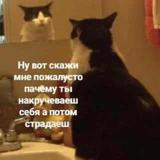 😐 emoji ВСЕ СТИКИ ТУТ: @sekstick Telegram sticker 5 of 72