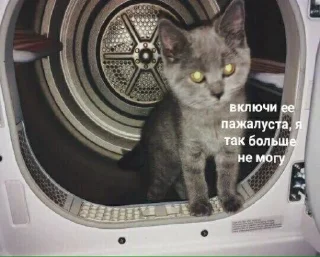 😢 emoji ВСЕ СТИКИ ТУТ: @sekstick Telegram sticker 24 of 72
